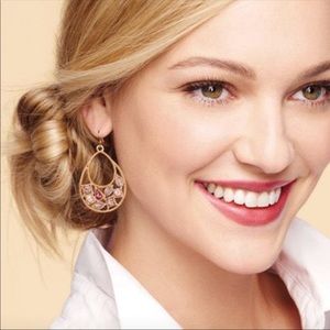 Rare Elements Teardrop Black Earrings